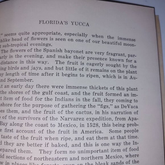 Vtg. Nature Book:Gems Gleaned From Pages of Panama City Pilot 1907-1926 AS IS - Picture 9 of 12